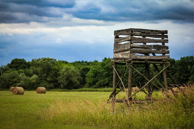 Foto bale di fieno sul campo contro il cielo