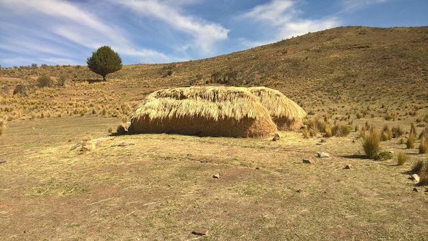 Foto bale di fieno sul campo contro il cielo