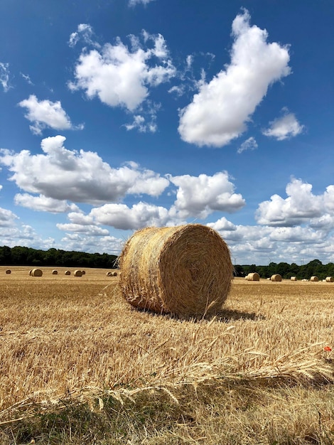 Foto bale di fieno sul campo contro il cielo