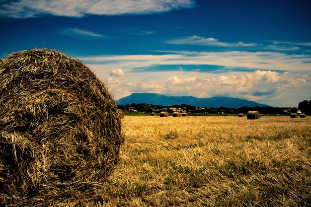 Hay bales on field against sky