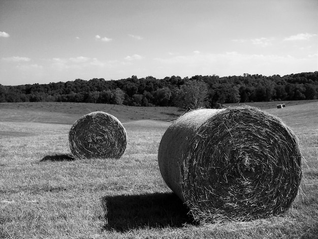 Foto bale di fieno sul campo contro il cielo