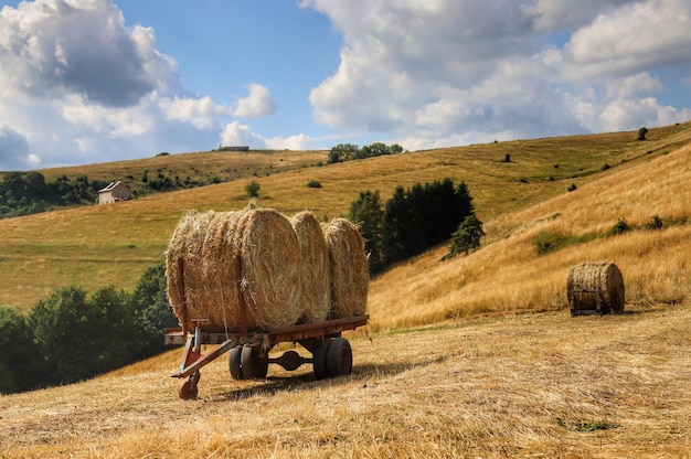 Hay bales on field against sky