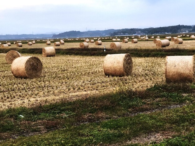 Hay bales on field against sky