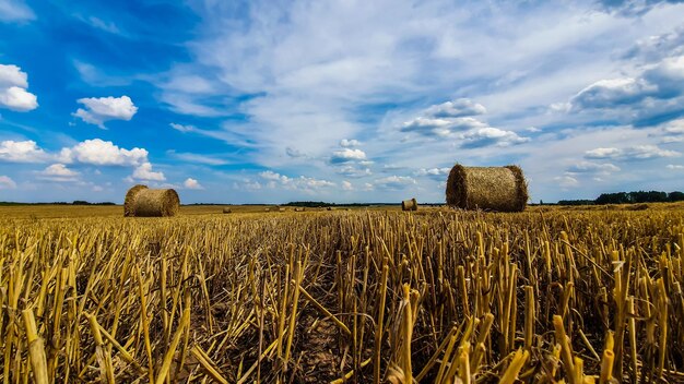 Hay bales on field against sky