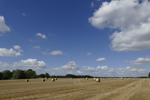 Hay bales on field against sky