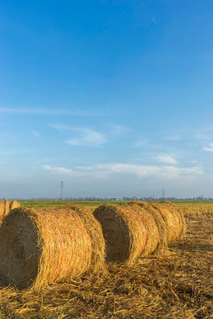 Hay bales on field against sky