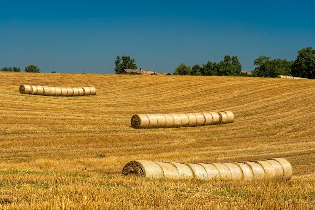 Photo hay bales on field against sky