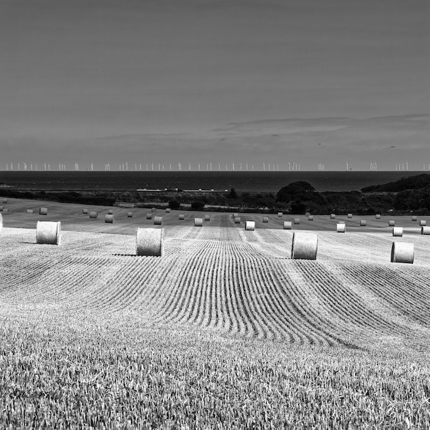 Hay bales on field against sky