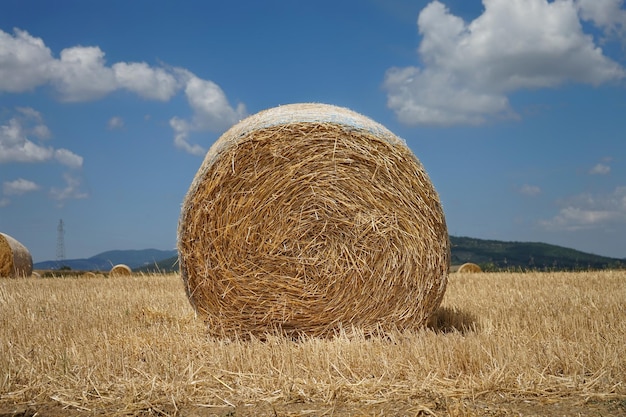 Photo hay bales on field against sky