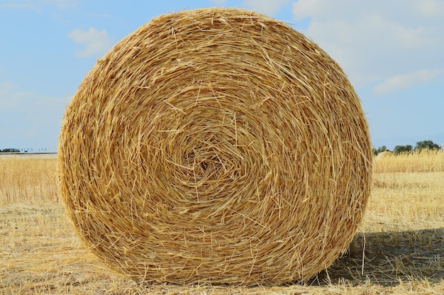 Photo hay bales on field against sky