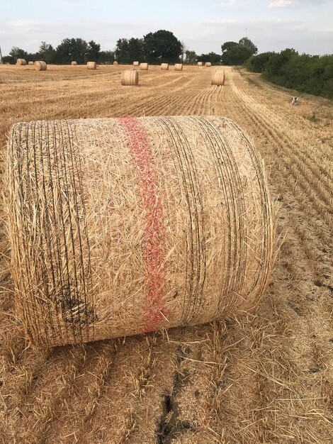 Foto bale di fieno sul campo contro il cielo