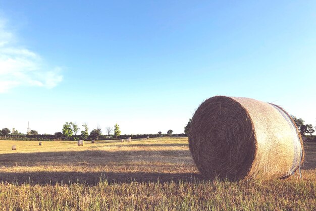 Hay bales on field against sky