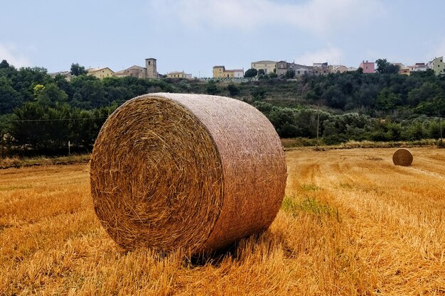 Foto bale di fieno sul campo contro il cielo