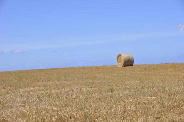 Hay bales on field against sky