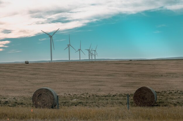 Hay bales on field against sky