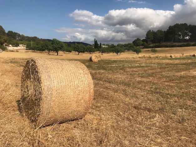 Foto bale di fieno sul campo contro il cielo