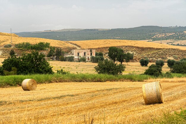 Foto bale di fieno sul campo contro il cielo