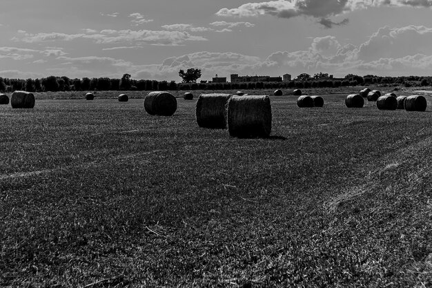 Photo hay bales on field against sky