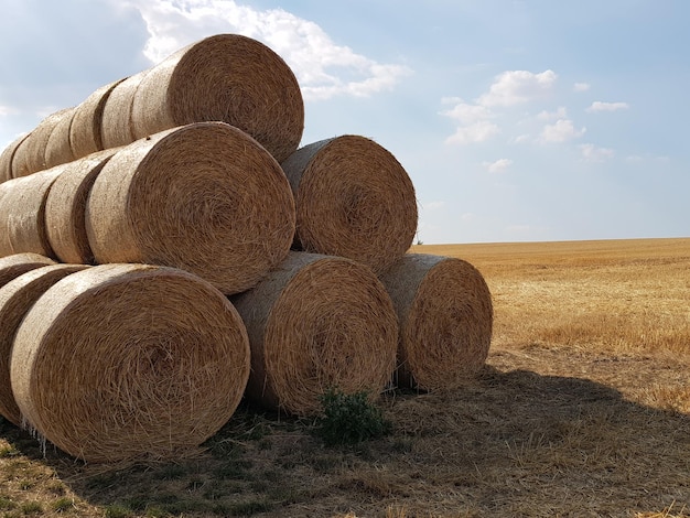 Hay bales on field against sky