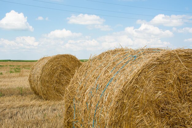 Hay bales on field against sky