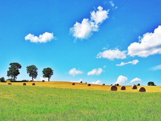 Hay bales on field against sky