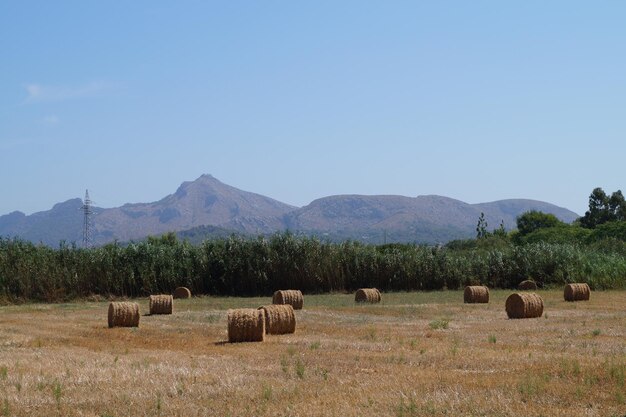 Photo hay bales on field against sky