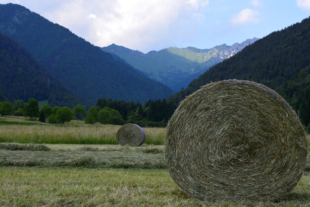 Photo hay bales on field against sky