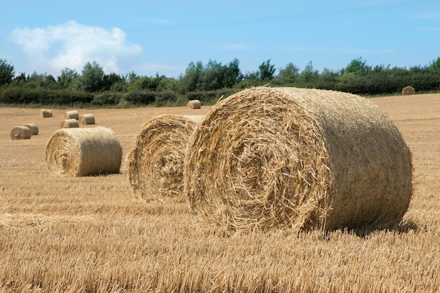 Hay bales on field against sky