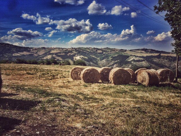 Foto bale di fieno sul campo contro il cielo