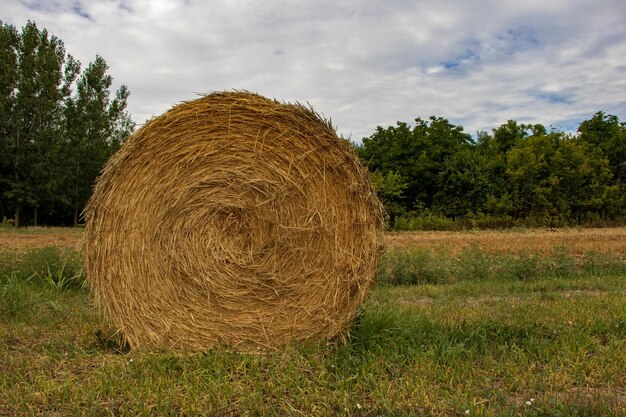 Photo hay bales on field against sky