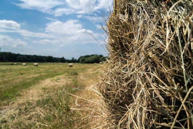 Hay bales on field against sky