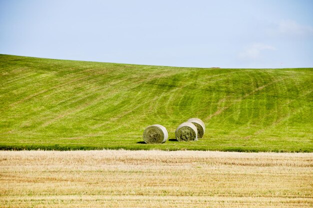 Photo hay bales on field against sky