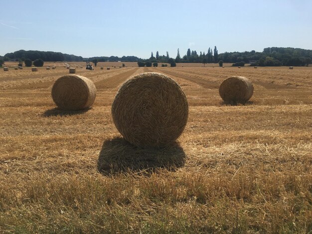 Foto bale di fieno sul campo contro il cielo