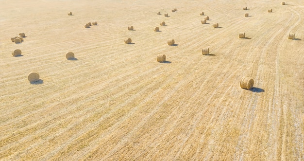 Hay bales in a field, natural striped pattern