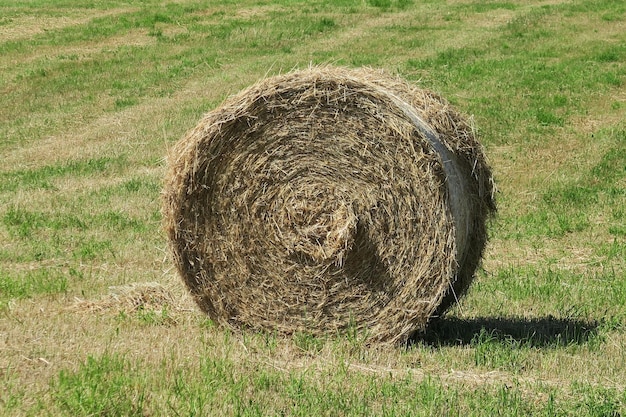 Photo hay bales on field