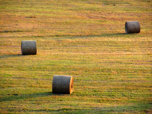 Photo hay bales on field