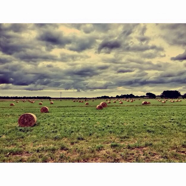 Photo hay bales in fields against cloudy sky