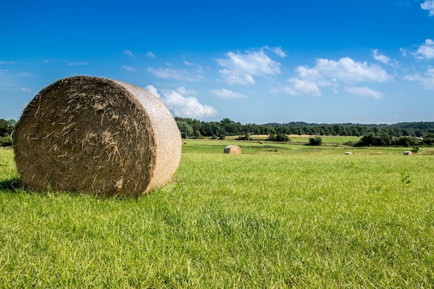 Foto bale di fieno sul campo verde contro il cielo