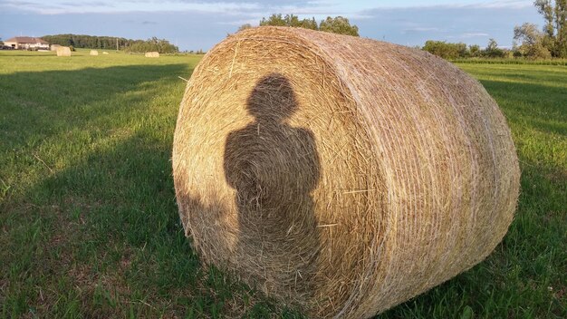 Фото Балы сена на поле на фоне неба