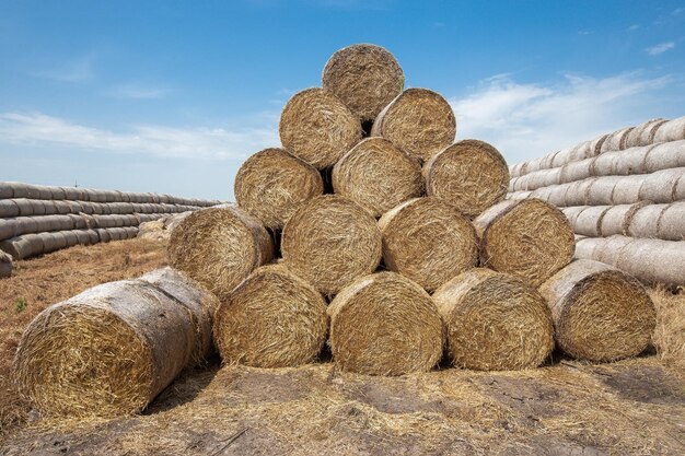 Hay bales in the sunset