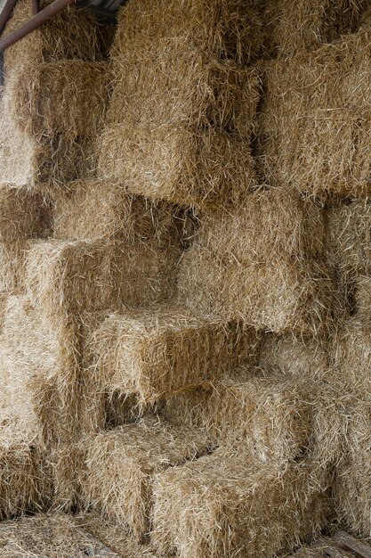 Hay bales in the sunset