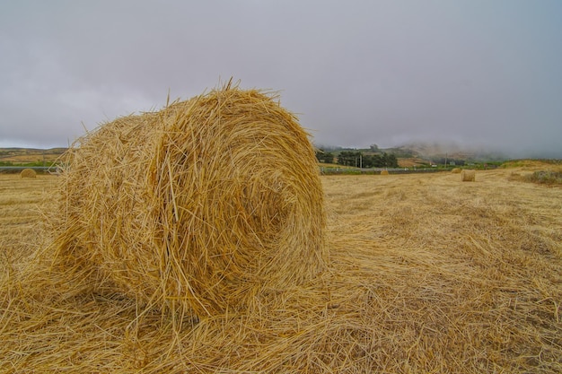 Hay Bales