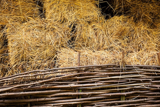 hay in the barn