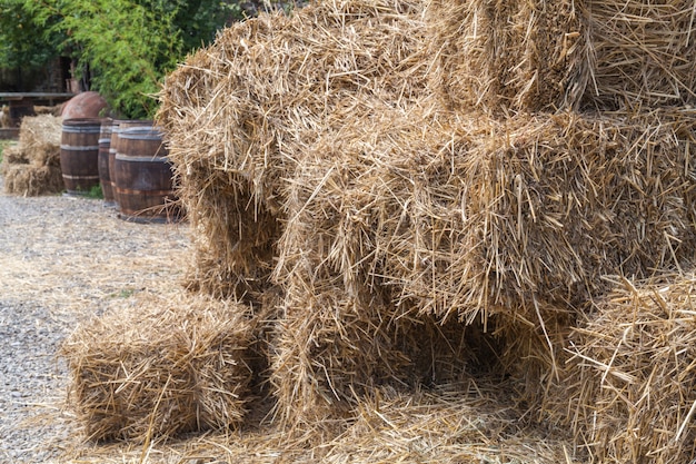 Hay in a courtyard