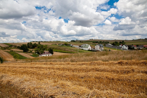 Hay harvesting farmland landscape nature view