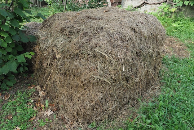 芝生の干し草の山