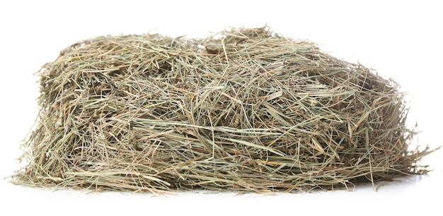 Hay isolated on white
