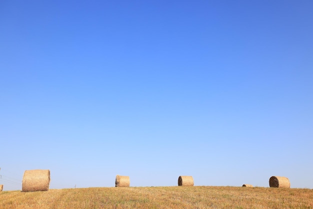 干し草のロール 風景 自然 夏 農業