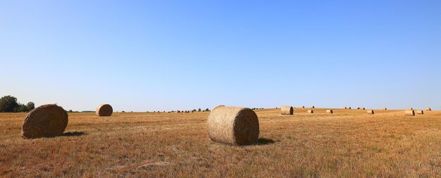 hay roll landscape nature summer farming