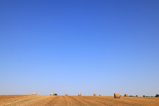 hay roll landscape nature summer farming